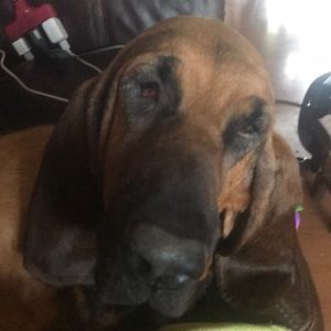 Meet your Posher, Mistie